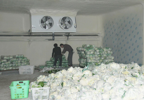 遂寧20平方蔬菜保鮮庫