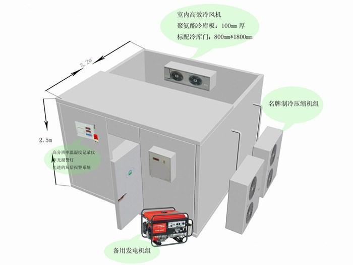 冷鏈物流市場潛力無限 突破五大方面實現健康發展